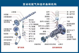 高清汽车各零部件构造图,看完你就是汽车专家